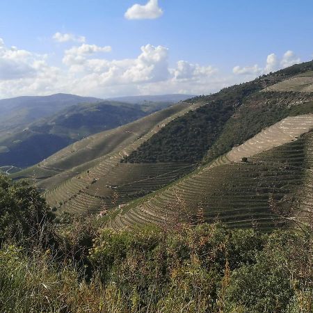 Ervedosa do Douro Douro Valley - Casa Da Praca מראה חיצוני תמונה