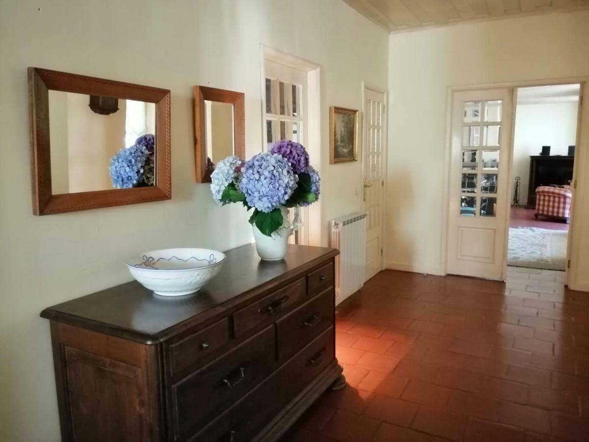 Ervedosa do Douro Douro Valley - Casa Da Praca מראה חיצוני תמונה